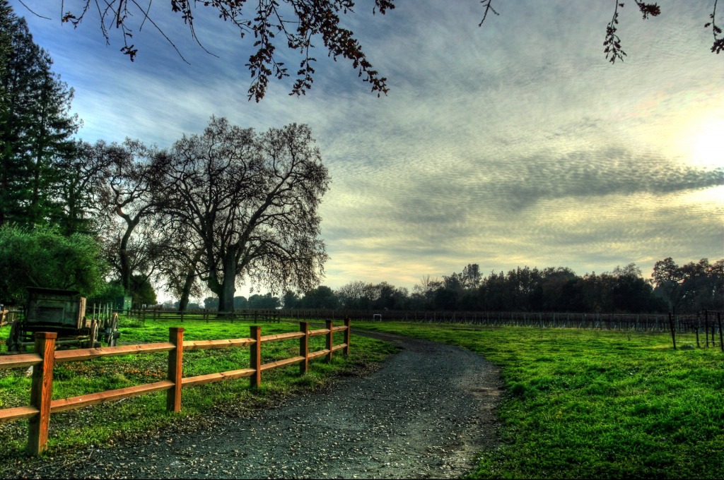 The Road to the Vines jigsaw puzzle in Great Sightings puzzles on TheJigsawPuzzles.com